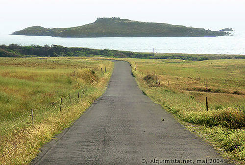 &copy; Alquimista.net