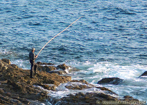 &copy; Alquimista.net